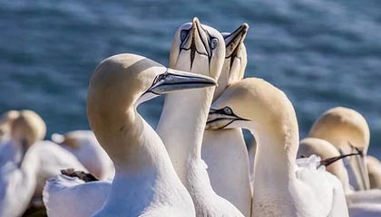 开云网页版登录入口-国民队连续取胜保持良好势头