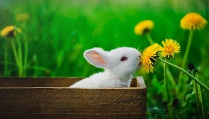 开云网页版登录入口-国民队连续取胜保持良好势头