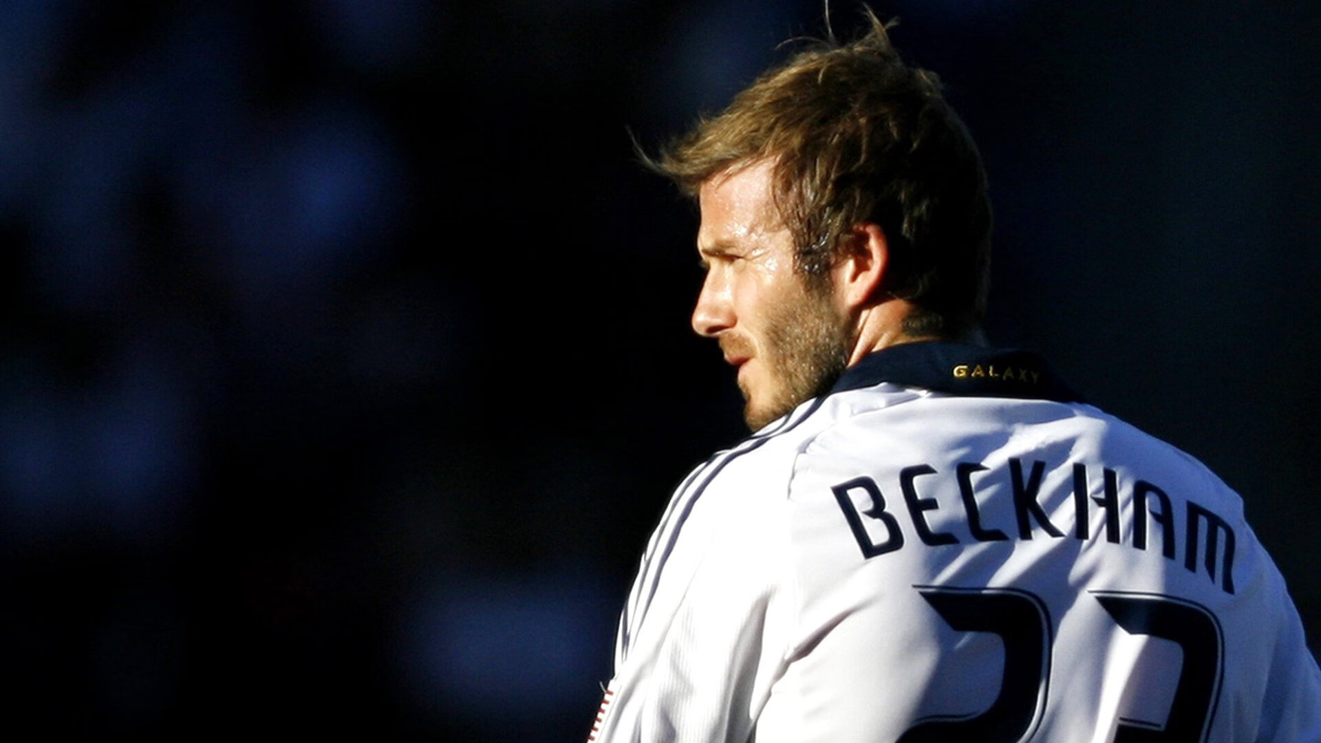 Team Liquid品牌重塑升级,team apparel品牌